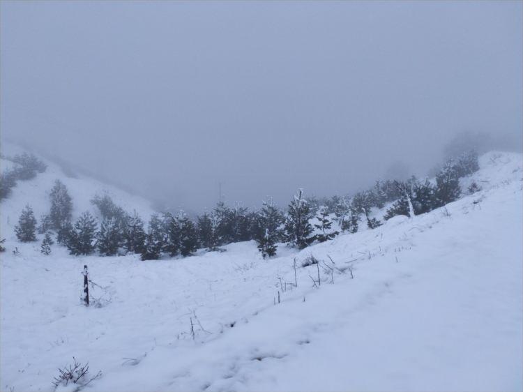 <p>TOKAT</p>
