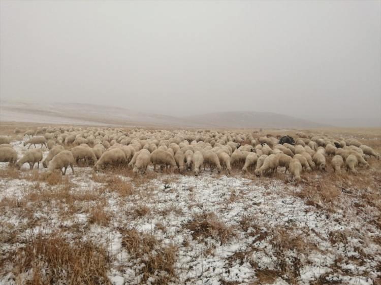 <p>Doğanşar ilçesinde bulunan Dipsiz Göl Şelalesi ve Hafik ilçe merkezine yaklaşık 25 kilometre mesafedeki Pusat Özen Barajı çevresinde kar etkili oldu.</p>