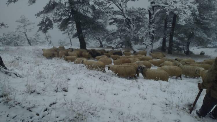 <p>Tokat-Sivas karayolu &uuml;zerinde bulunan bin 650 rakımlı &Ccedil;amlıbel ge&ccedil;idi de kar yağışından nasibini aldı.</p>
