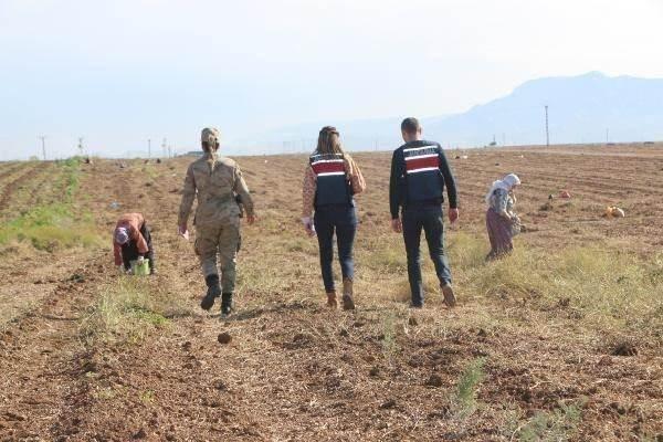 <p><strong>Köyde tandır başında ekmek pişiren Hüsniye Fidan ise "Askerler geldi. Ekmeğimize baktılar. KADES hakkında konuşma yaptık. Onunla ilgili bilgilendirdiler. Olası bir şiddet olursa, biz düğmeye basarız onlar da burada olurlar" ifadelerini kullandı.</strong></p>
<p> </p>