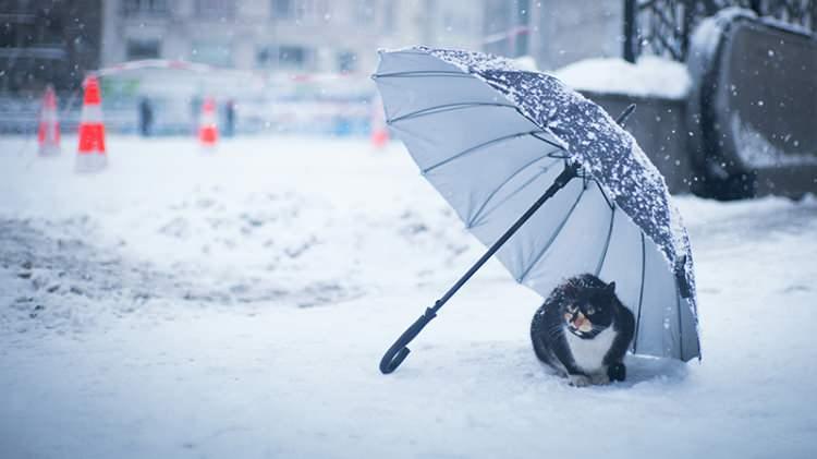 <p>Meteoroloji 14. Bölge Müdürlüğünden yapılan açıklamada, bölge genelinde havanın çok bulutlu, aralıklı yağmur ve karla karışık yağmurlu olması tahmin edildiği belirtildi.</p>
