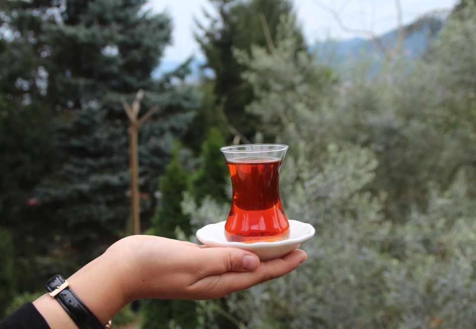<p><strong>'EN ÇOK ÇAY TÜRKİYE'DE TÜKETİLİYOR'</strong><br />
<br />
Çay eksperi ve tadımcısı Selin Göller, 'Türk çay kültürü'nü ve çay demlemenin püf noktalarını anlattı. Çayın Türk kültürünün önemli bir parçası olduğunu ifade eden Göller, "7'den 70'e çay tüketen bir ülkeyiz. </p>
