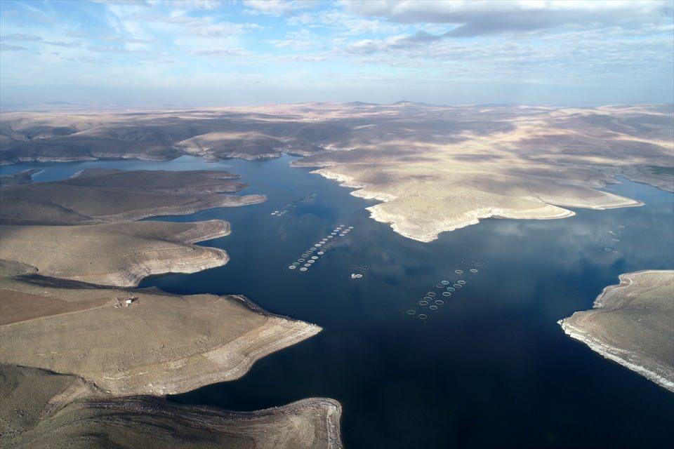 <p>Bahadır, burada yetiştirilen balıkların Karadeniz üzerinden yurt dışına Türk somonu olarak satıldığını, bu çalışmanın kentteki diğer barajlarda da devam edeceğini belirterek, "2023'te izin verdiğimiz firmalarla birlikte toplam kapasitenin 4 bin tona ulaşmasını bekliyoruz." ifadelerini kullandı.</p>

<p>Ülke genelinde alabalık üretimi yapan bir şirketin Yönetim Kurulu Başkanı Yurdakul Sözeri de 2021'in başında Tarım ve Orman Bakanlığının da desteğiyle Bingöl'de kendilerine tahsis edilen alanda yaklaşık 2 bin ton üretim kapasiteli yatırım gerçekleştirdiklerini dile getirdi.</p>

<p>Sözeri, "Destek sayesinde Bingöl Organize Sanayi Bölgesi'nde, burada yetiştirdiğimiz balıkların işlenmesi ve buradan direkt Avrupa'ya ihracatıyla ilgili çalışma başlattık. Bu çalışmayı önümüzdeki yıl nisan veya mayıs ayına kadar tamamlamayı düşünüyoruz." diye konuştu.</p>

<p> </p>
