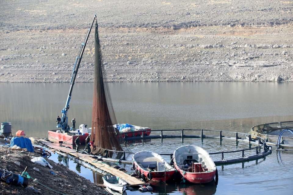 <p> Türkiye'nin çeşitli illerindeki baraj göllerinde kurulu tesislerde yetiştirilen alabalıklar, Karadeniz'deki kafeslerde olgunlaştıktan sonra Türk somonu olarak 36 ülkeye ihraç ediliyor.</p>

<p> </p>
