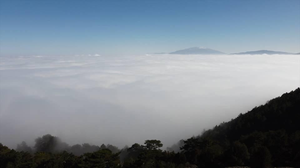 <p>Merkezefendi il&ccedil;esindeki Başkarcı Mahallesi sınırlarında bulunan Başkarcı Dağı, fotoğraf tutkunlarının uğrak noktalarından birisi oldu.</p>
