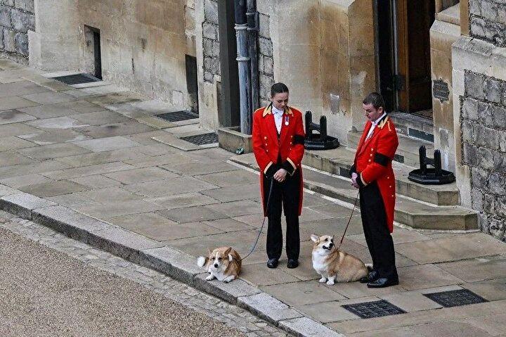 <p>Kraliçe'nin corgi cinsi köpekleri, Muick ve Sandy, 19 Eylül 2022'de İngiltere Kraliçesi 2. Elizabeth'in anma töreninde</p>

<p> </p>
