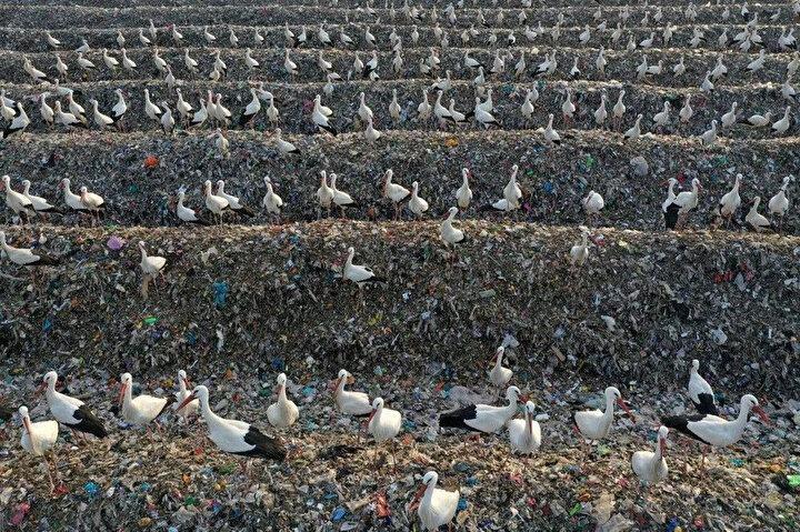 <p>Bu havadan görüntü, 18 Şubat 2022'de İsrail işgali altındaki Batı Şeria'daki Ürdün Vadisi'ndeki Tovlan çöp sahasında plastik geri dönüştürülebilir malzeme üzerinde toplanan leylekleri gösteriyor.<br />
 </p>
