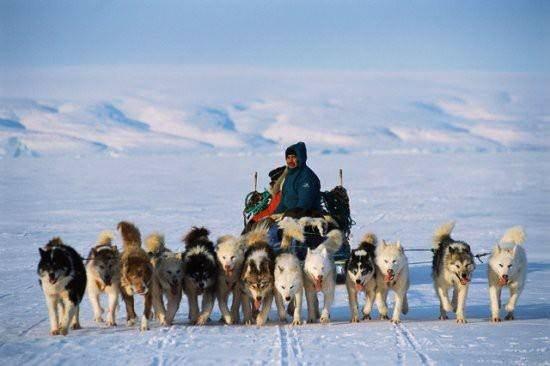 <p>Eskimo dilinde kar yağışlarının farklarını tarif etmek için kullanılan yirmiden fazla sözcük vardır.</p>