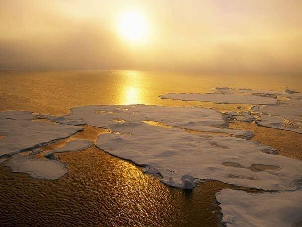<p>Küreselısınma yüzünden yükselen deniz seviyesi 2050 yılında Shangai ve deniz kıyısındaki diğer cin şehirlerinde büyük sellere neden olacak. Bu sellerde 76 milyon kişi evsiz kalacak.</p>
