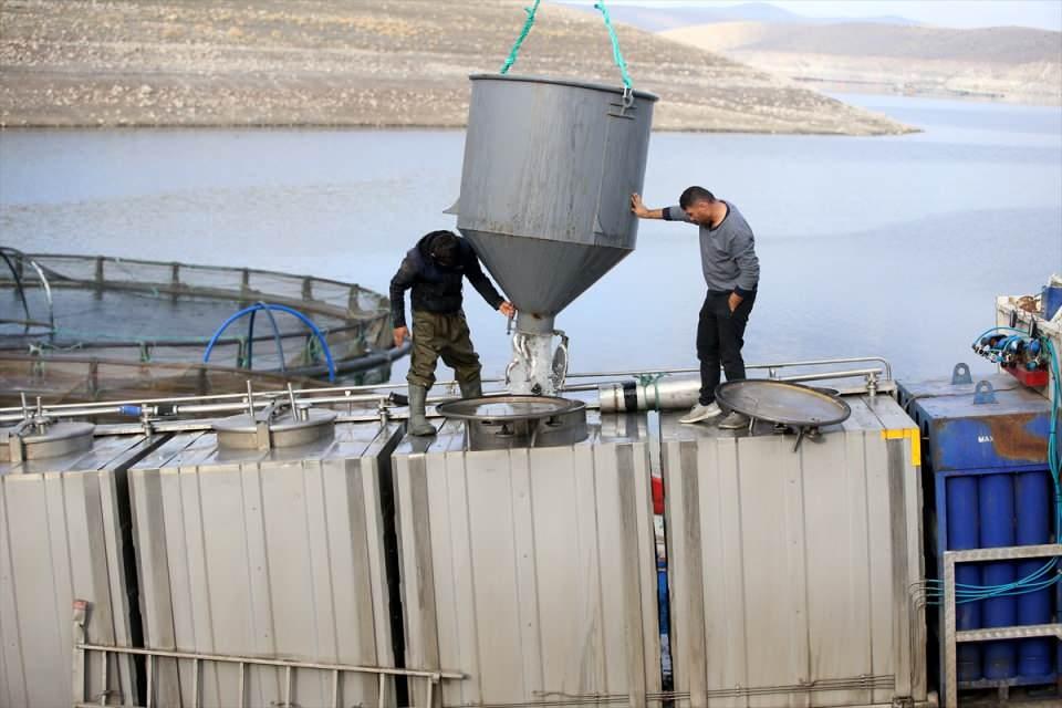 <p>Bingöl, Kahramanmaraş, Malatya, Sivas, Kayseri, Yozgat, Erzurum ve Erzincan gibi illerdeki tesislerde yetiştirilen alabalıklar, belirli bir grama ulaştıktan sonra Karadeniz'deki tesislere gönderiliyor.</p>

<p> </p>
