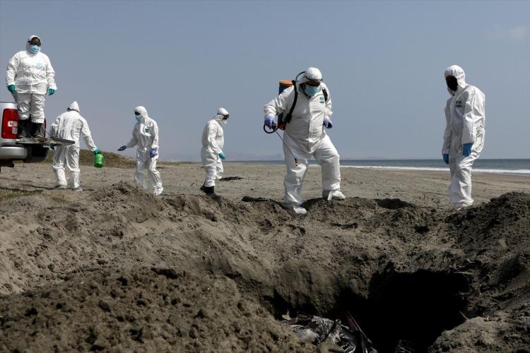 <p>Peru'nun yanı sıra Avrupa ve ABD'nin bazı bölgelerinde halihazırda kuş gribi vakaları görülürken salgın nedeniyle binlerce hayvan telef oldu.</p>
