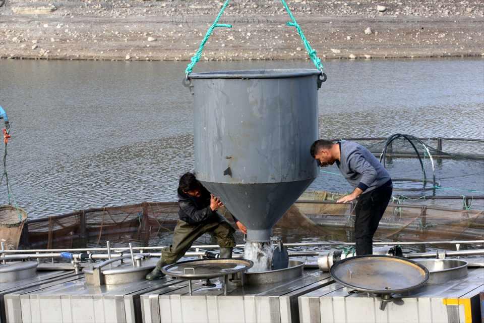 <p>10 aylık Türk somonu ihracatı, 21 bin 88 ton ürün karşılığı 120 milyon 800 bin 63 dolar kazanılan geçen yılın aynı dönemine göre miktarda yaklaşık yüzde 95, gelirde yüzde 150 arttı.</p>

<p> </p>
