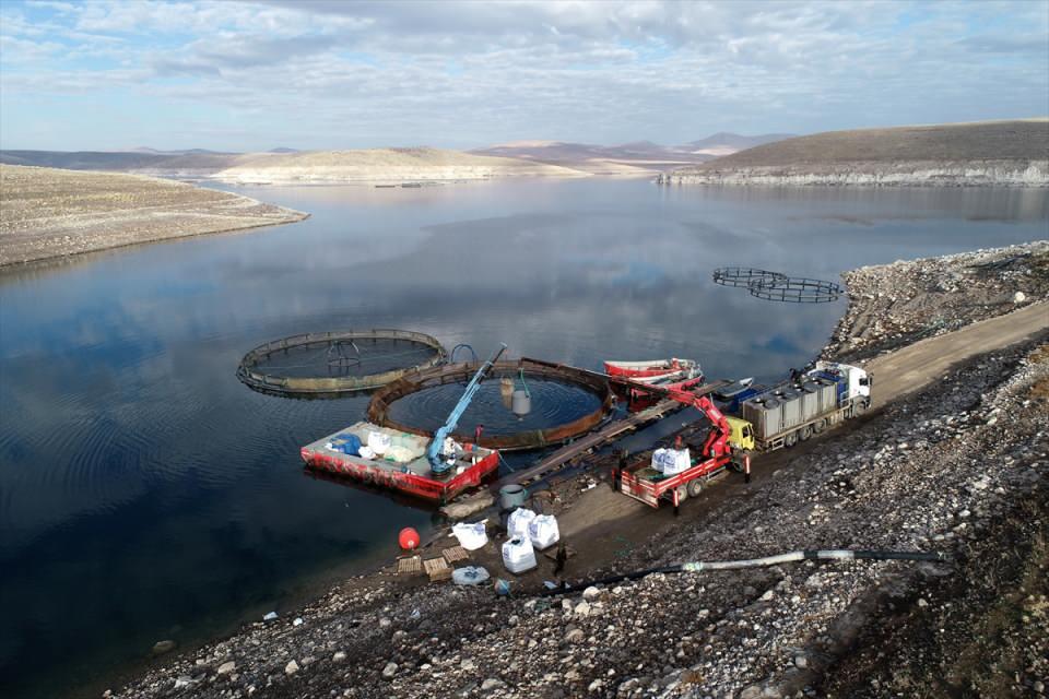 <p>- Erzincan</p>
<p>Erzincan'da ise 15 tesiste yıllık 41 milyon yavru alabalık yetiştiriliyor.</p>
<p>Tercan ve Göyne Barajı'ndaki tesislerde belirli bir büyüklüğe ulaşan balıklar, Karadeniz'e gönderiliyor, burada da büyütülerek çeşitli ülkelere satılıyor.</p>