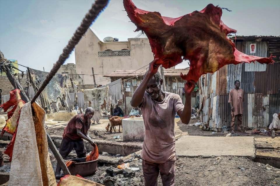 <p>Nijerya’nın kuzey kesimindeki, Batı Afrika'nın en eski şehirlerinden Kano, geleneksel tabakhanelerinde üretilen deri ürünleriyle ülke ekonomisine önemli katkı sağlıyor.</p>