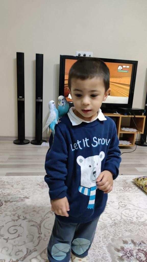 <p><strong>'İLK MÜDAHALE YAPILSAYDI ŞU AN BELKİ DE BU DURUMDA OLMAZDIK'</strong></p>

<p> </p>

<p> </p>

<p>Sağlık bakanlığına konuyu ilettiklerini söyleyen baba, "Kimsenin bu acıyı yaşamasını istemiyorum. Hiçbir annenin, babanın evlat acısı yaşamasını istemiyorum. Gerçekten tarif edilmeyecek bir acı. Hastaneyle ilgili savcılığa da şikayette bulunduk, Sağlık Bakanlığına da ilettik. Hastaneden sonuna kadar şikayetçi olacağız. İlk müdahale yapılsaydı şu an belki de bu durumda değildik” dedi. </p>
