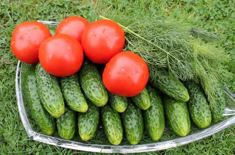 <p><strong>Bu ikili bazı durumlarda, başka hastalıkları tetikleyebilir ve sağlık sorunlarını ağırlaştırabilir.</strong></p>