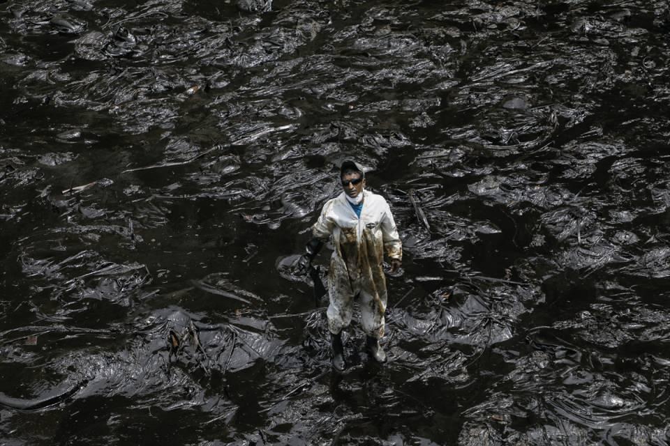 <p>Tonga'daki volkanik patlamanın neden olduğu tsunaminin ardından Peru'nun Pasifik Okyanusu'ndaki La Pampilla rafinerisinden sızan petrol, ülke kıyılarında yaklaşık 4 kilometrelik alana yayıldı.</p>