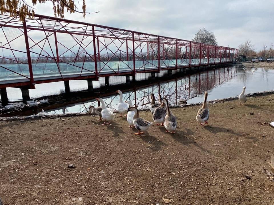 <div>Kayseri Büyükşehir Belediyesi Anadolu Harikalar Diyarı Hayvanat Bahçesi’nde hayvanların kaliteli bir şekilde yaşamlarını sürdürebilmeleri için yaşadıkları bölgenin iklimine göre ortam sıcaklığı belirleniyor. </div>
