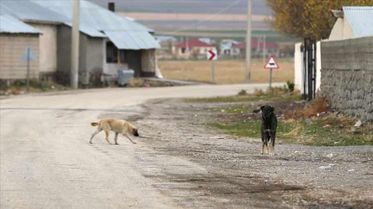 <p><strong>KUDUZ TEŞHİSİYLE YOĞUN BAKIMA ALINMIŞTI</strong></p>

<p>Yapılan testlerde Erçetin'de kuduz virüsüne rastlanmıştı. Hırçın davranışlar sergileyen ve tükürük salgısı artan çocuk, 21 Ekim'de yoğun bakıma alınmıştı.</p>
