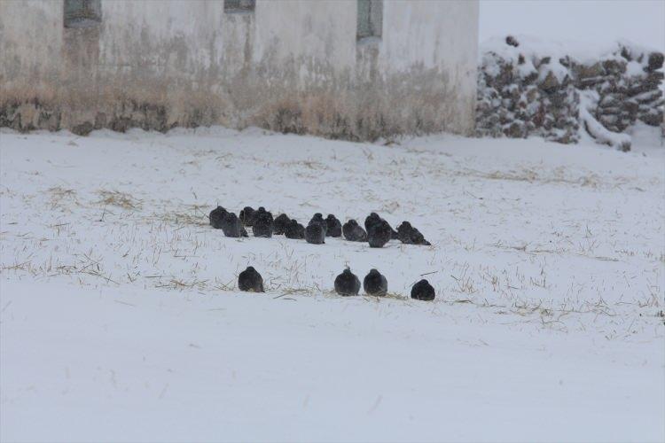 <p>Kars, Ardahan ile Tunceli'de kar yağışı etkili olurken, Erzurum'da yollarda buzlanma meydana geldi. </p>