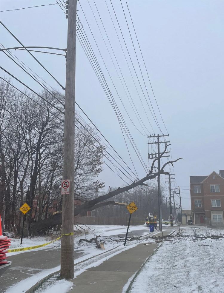 <p>- ÜLKEDE 1 MİLYONDAN FAZLA EV VE İŞ YERİ ELEKTRİKSİZ</p>

<p>Poweroutage sitesine göre, ülke genelinde 1 milyondan fazla ev ve iş yeri elektrik kesintileriyle boğuşurken, yetkililer, devam eden olumsuz hava şartları nedeniyle arızaların tamir edilmesinin günler alabileceği uyarısında bulundu.</p>
