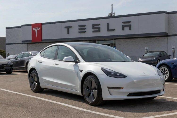 <p><span style="color:#B22222"><strong>TESLA TÜRKİYE'DE ELEMAN ALIMINA BAŞLADI</strong></span></p>

<p> </p>

<p>Dünya genelinde en çok bilinen elektrikli otomobil markası olan Tesla da Türkiye'ye açılıyor. Türkiye atağını kurduğu süper hızlı şarj istasyonlarıyla başlatan Tesla, şimdi de Türkiye merkezi için eleman alım ilanı verdi. Şirketin resmi internet sitesindeki bilgilere göre, ilk servis merkezi İstanbul Beşiktaş'ta açılacak.</p>

<p> </p>

<p> </p>
