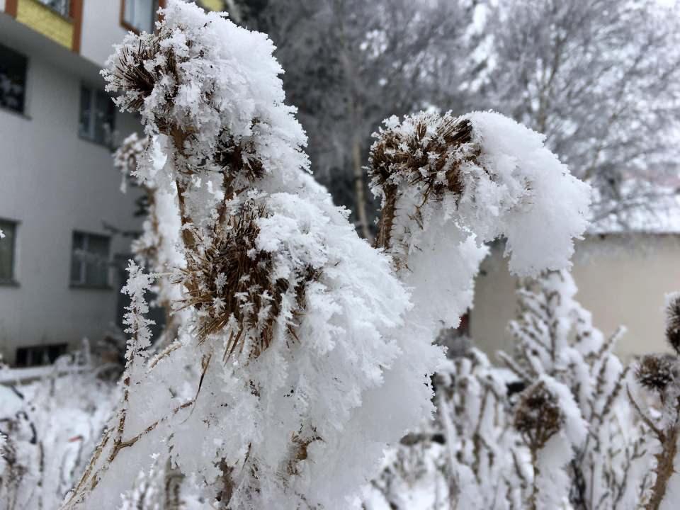 <p>ARDAHAN</p>
