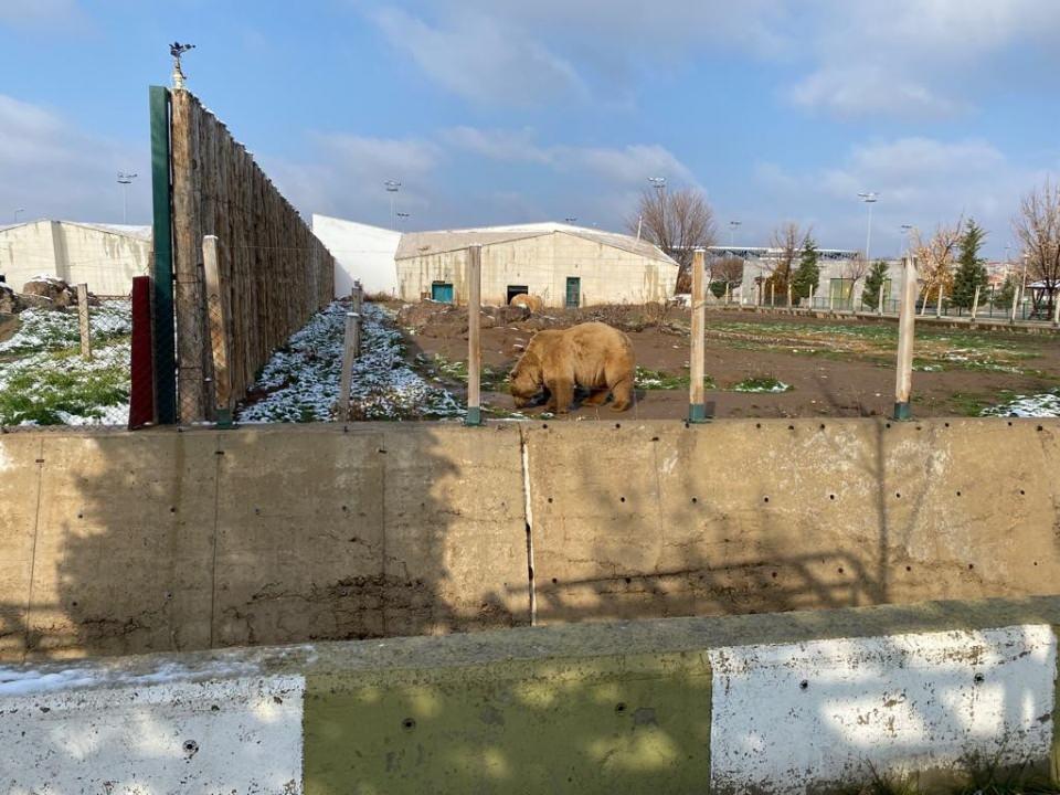 <div>Burası 12 ayda hizmet veren bir hayvanat bahçesidir. Ziyaretçilerimizin serin ve rahat ortamlarda gelmelerini istiyoruz” şeklinde konuştu.</div>

<div> </div>
