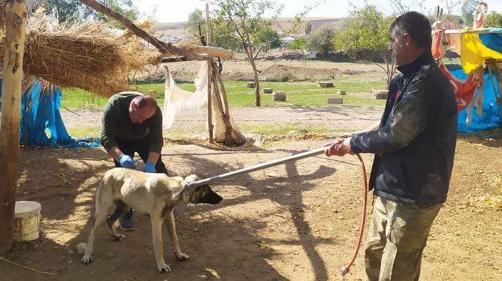 <p><strong>KUDUZ KÖPEKLER İTLAF EDİLDİ</strong></p>

<p> </p>

<p>Kuduz belirtileri bulunan köpekten alınan numuneler Adana Kontrol Laboratuvarına gönderildi. </p>
