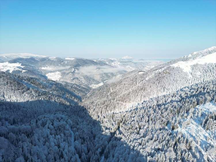 <p>GİRESUN</p>
