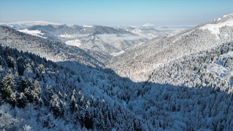 <p>GİRESUN</p>
