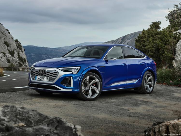 <p>Audi Q8 e-tron</p>
