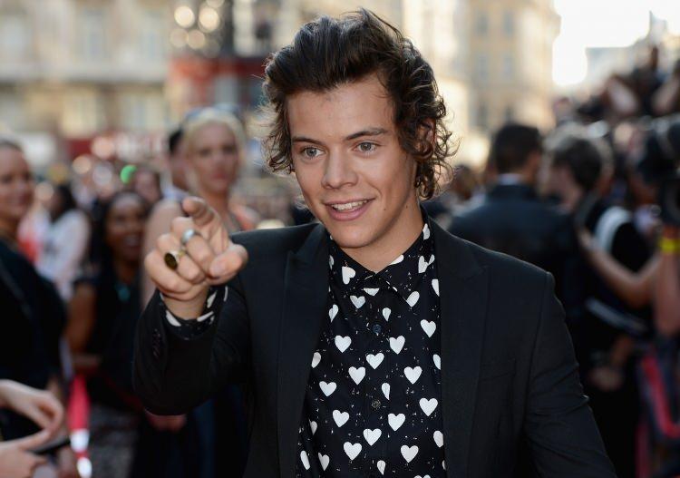 <p>19. Harry Styles</p>