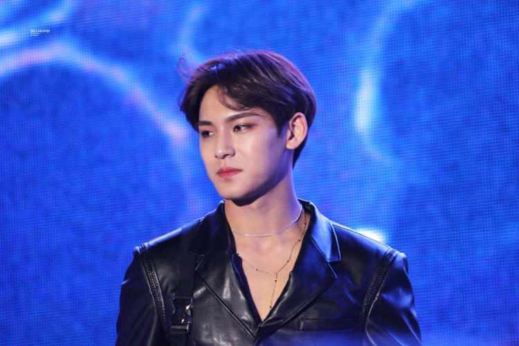 <p>43. Mingyu (Kim Mingyu)</p>