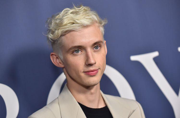 <p>17. Troye Sivan</p>