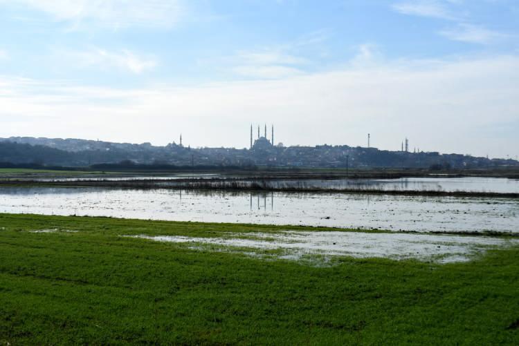 <p>Ergene ve Meriç Nehri'nin birleştiği alanda bulunan tarım arazileri su altında kaldı.</p>
