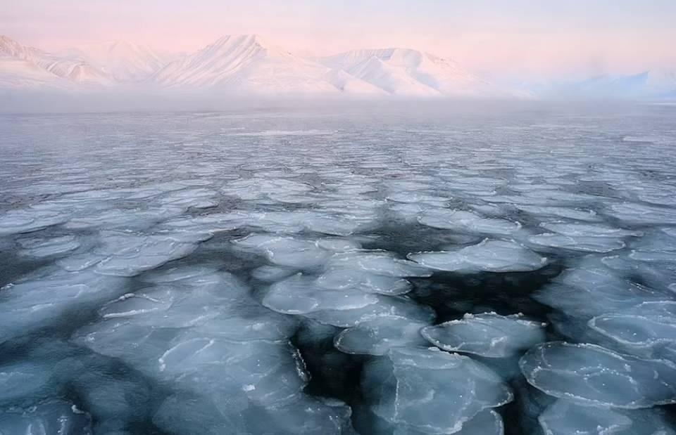 <p>Manzara kategorisinde büyük beğeni toplayan bu fotoğrafı Çek fotoğrafçı Michal Krause çekti.</p>
<p>Fotoğraf, Kuzey Kutbu'ndaki bir Norveç takımadası olan Svalbard'da "donmuş bir körfezin arkasındaki pembe ışıklı dağları" gösteriyor.</p>