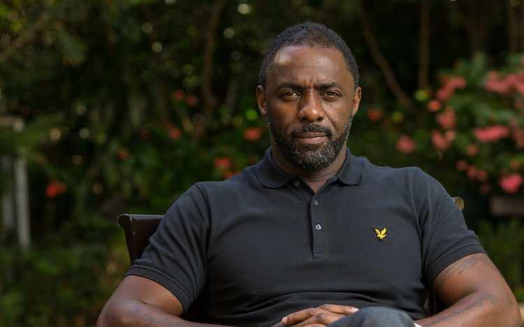 <p>16. Idris Elba</p>