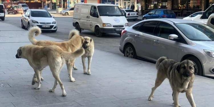 <p> İlk başta anlam vermedik bu nedenden dolayı ev mi alınmaz falan dedik ama empati yapınca hak vermeye başladık" diye konuştu.</p>