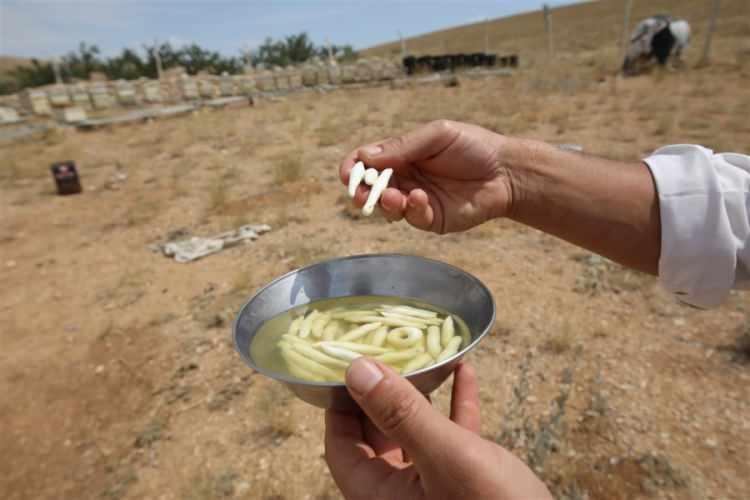 <p>Bu sayede 1 buçuk yıl durur. Bu sakız biraz serttir. Çiğnedikçe yumuşar, yumuşadıkça da harika bir tadı olur. Güzel bir aroması olur. Normalde bunun kilosu 2 bin 500 TL. Şu anda boksörler dahil çene kaslarını geliştirmek için bizden bu sakızı alıyor. Çünkü bu sert olduğu için çene kaslarını geliştirir."</p>
