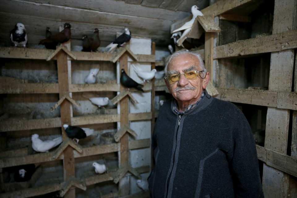 <p>Herkesin kendisine "bu kuş sevdasını ne zaman bırakacaksın" diye sorduğunu anlatan Şendur, "Elimiz ayağımız tutana kadar, merdivenleri çıkana kadar. Biz mezara, onlar mezata. Alışmışız öyle gidiyor." dedi.</p>