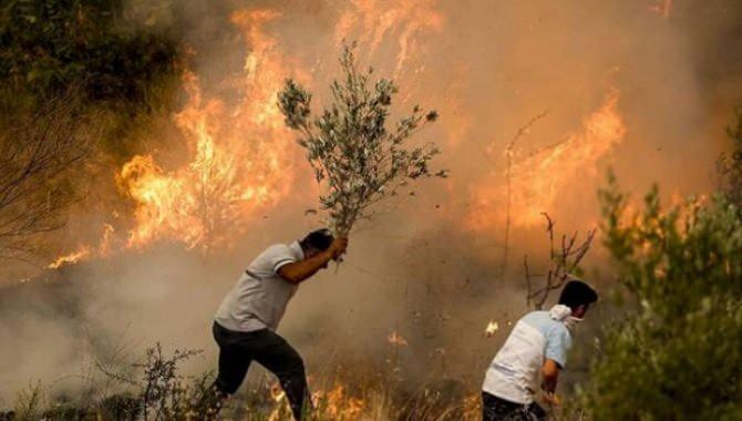 <p><strong>6-MANAVGAT YANGINI</strong></p>
<p>28 Temmuz 2021'de Antalya'nın Manavgat bölgesinde çıkan ve 10 gün boyunca süren yangın, 60 bin hektarlık orman alanını tahrip etmiş, civardaki 59 yerleşke ağır hasar almıştı.</p>
