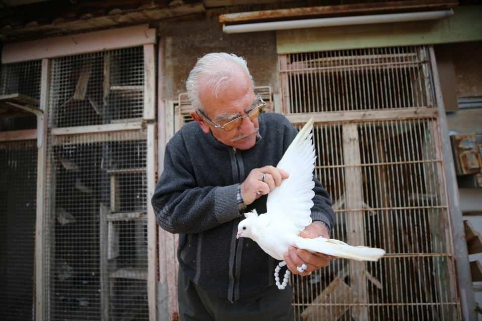 <p>Kırklareli'nde yaşayan Necati Şendur, 64 yıldır beslediği güvercinlerinin bakımını büyük bir titizlikle yapıyor.</p>

<p> </p>

