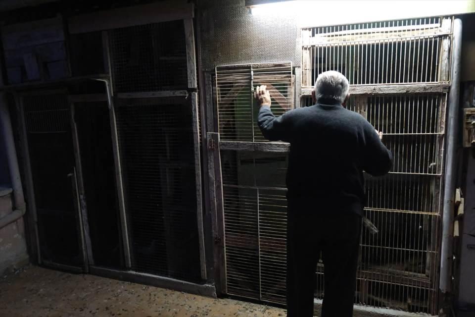<p>Kahvehaneye gitsen bile sadece kuş muhabbeti. O komşunun dört tavuğu varmış, 10 tane kuzusu varmış, biz bu dedikoduları yapmayız, bir araya gelince sadece kuş. Hani derler ya 'leyleğin ömrü laklakla geçer', işte bizim ömrümüz de böyle geçiyor."</p>
<p> </p>