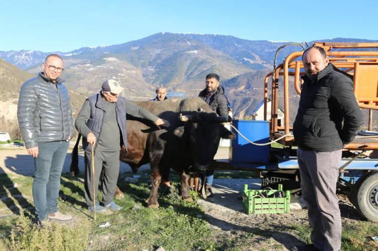 <p>Kentin 1200 rakımlı Kafkasör Yaylası'nda, geçtiğimiz yıl düzenlenen Artvin'de 41. Kafkasör Kültür, Turizm ve Sanat Festivali kapsamında düzenlenen boğa güreşlerinde rakiplerini yenerek boşboğa olan 7 yaşındaki 850 kilogramlık ‘Vefa’ isimli boğa bir başka boğacıya satıldı. Özgür Kamil Koçer ve Hakan Koçer’e ait boğa, 500 bin lira karşılığında, Bursalı işadamı Uğur Yıldız ve Artvinli iş adamı Haluk Koçer’e satıldı.</p>
