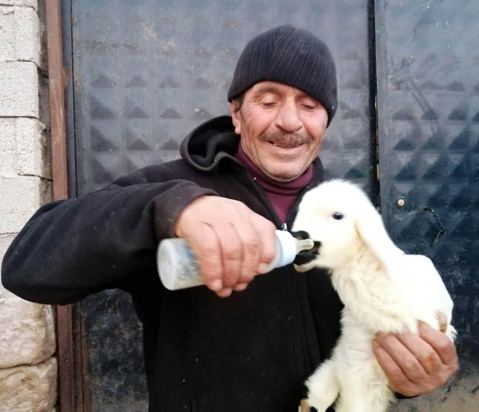 <p>Yeşilhisar ilçesinde 40 yıldır besicilik yaparak geçimini sağlayan Ramazan Karaca'nın koyunlarından birisi 15 gün önce üçüz doğurdu. </p>
