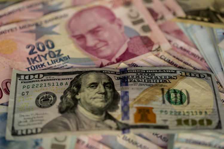 <p> Aradaki 1 yıllık sürede TL'ye dönüşler arttı.</p>
