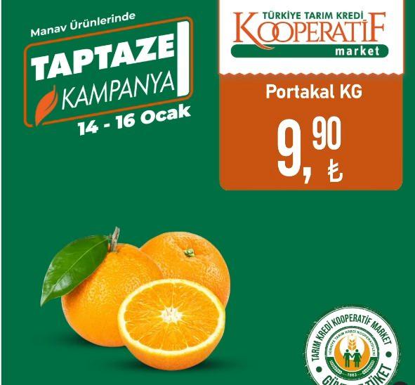 <p>Portakal KG: 9,90 TL</p>