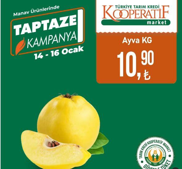 <p>Avya KG: 10,90 TL</p>
