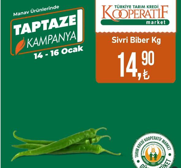 <p>Sivri Biber KG: 14,90 TL</p>